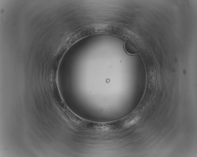 X0000068830698200605051236