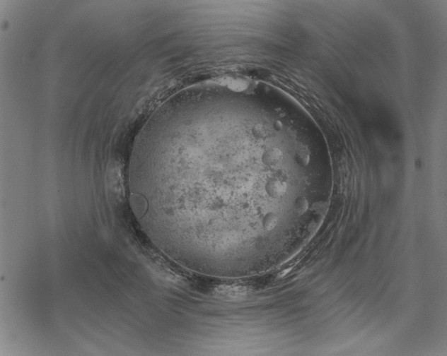 X0000068830699200605051236