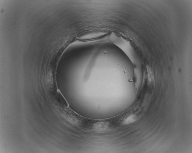 X0000068830700200605051236