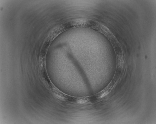 X0000068830701200605051236