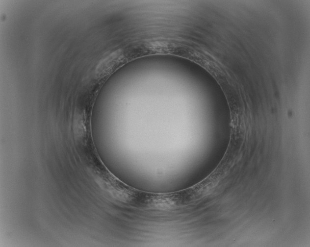 X0000068830702200605051236