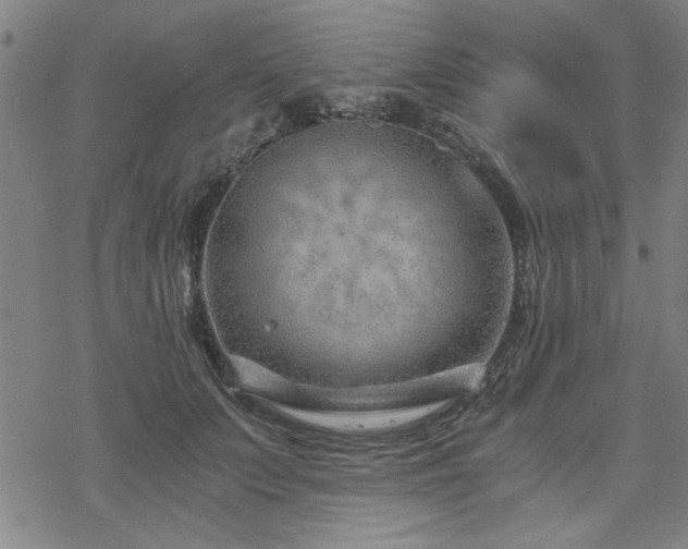 X0000068830703200605051236