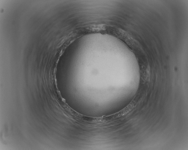 X0000068830704200605051236