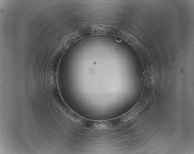 X0000068830706200605051236