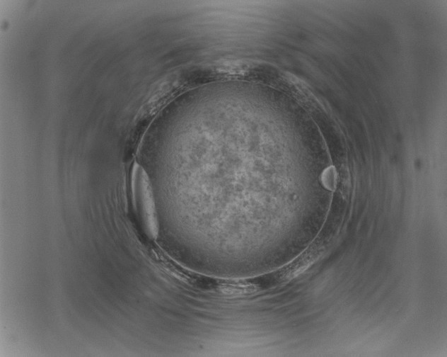 X0000068830707200605051236