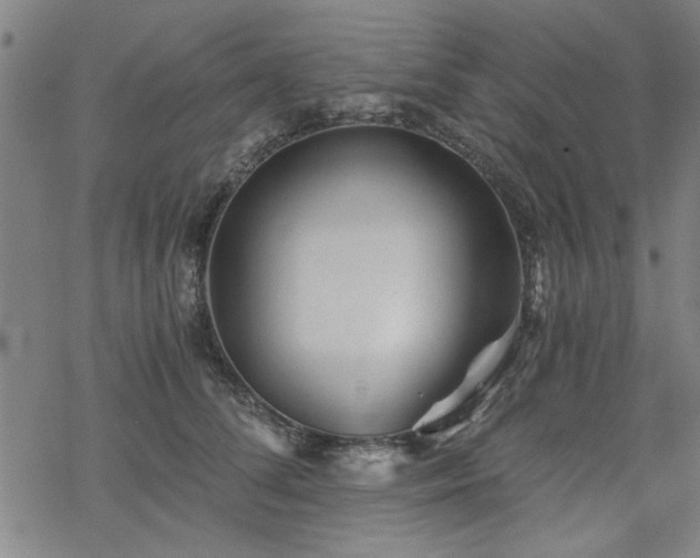 X0000068830708200605051236