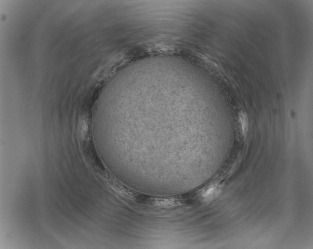 X0000068830709200605051236