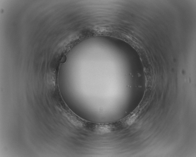 X0000068830710200605051236