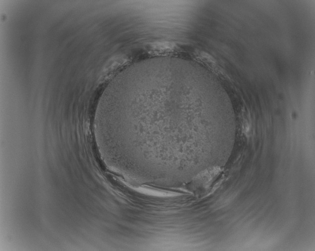 X0000068830711200605051236