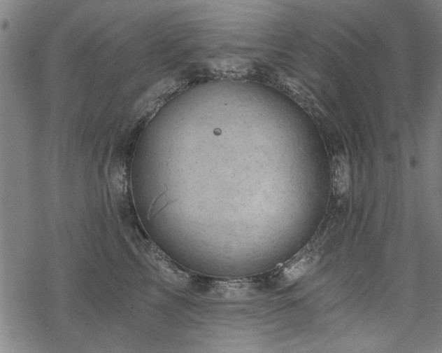 X0000068830713200605051236