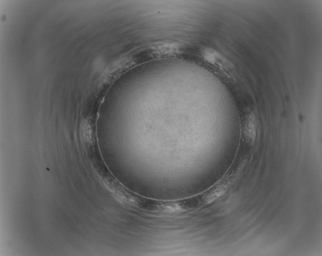 X0000068830715200605051236