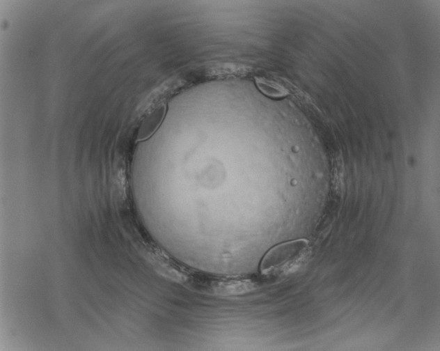 X0000068830716200605051236