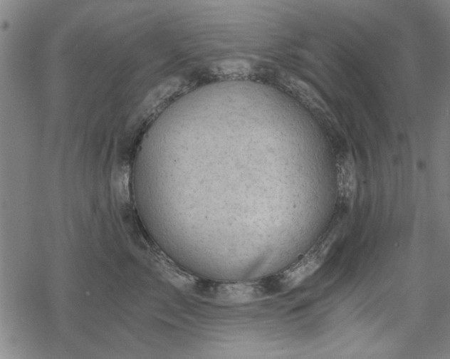 X0000068830717200605051236