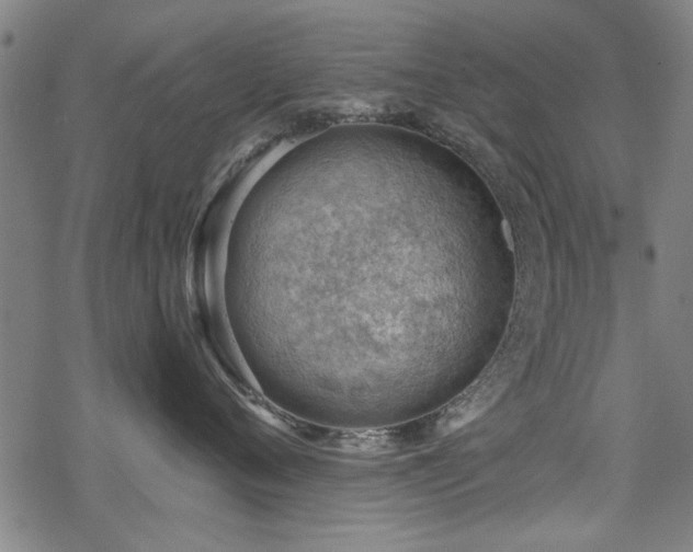 X0000068830720200605051236