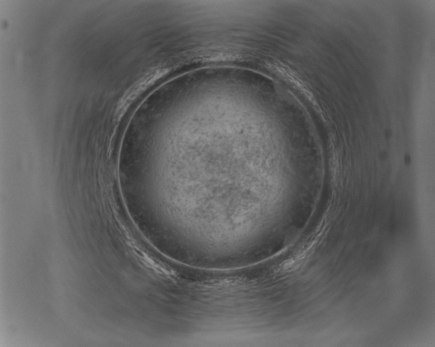 X0000068830721200605051235