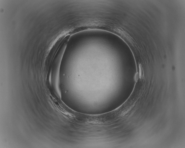 X0000068830723200605051235