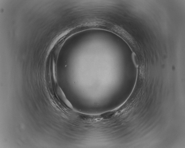 X0000068830724200605051235