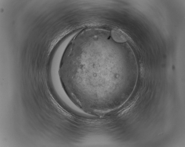 X0000068830725200605051235