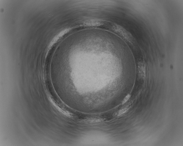 X0000068830726200605051235