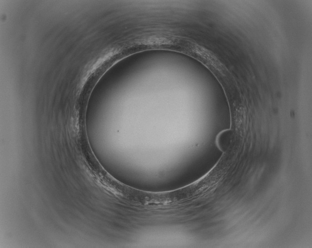 X0000068830727200605051235