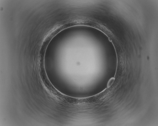 X0000068830730200605051235