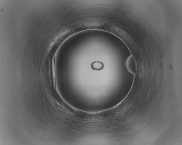 X0000068830731200605051235