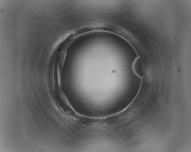 X0000068830732200605051235