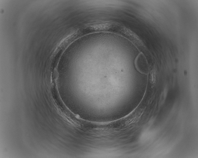 X0000068830733200605051235