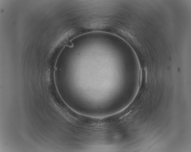 X0000068830735200605051236