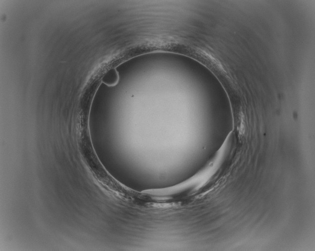 X0000068830736200605051236