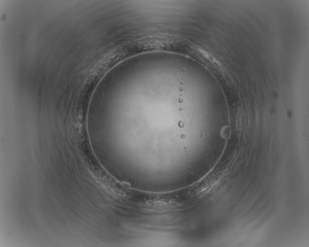 X0000068830737200605051236