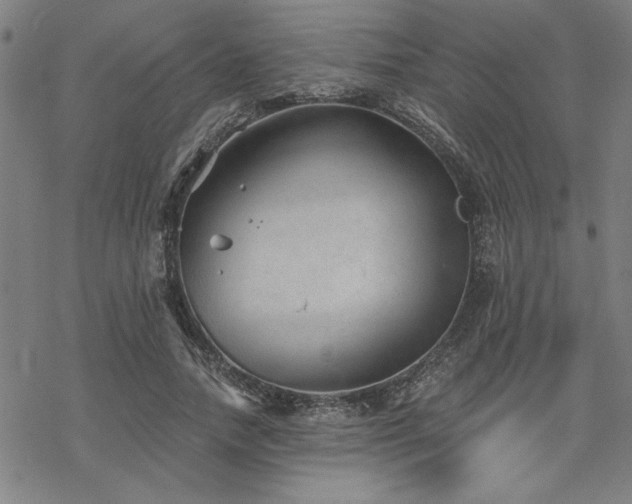 X0000068830738200605051236