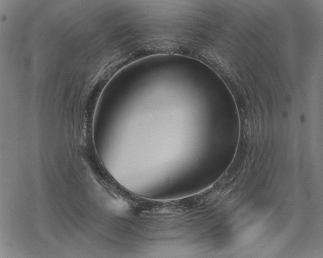 X0000068830739200605051236