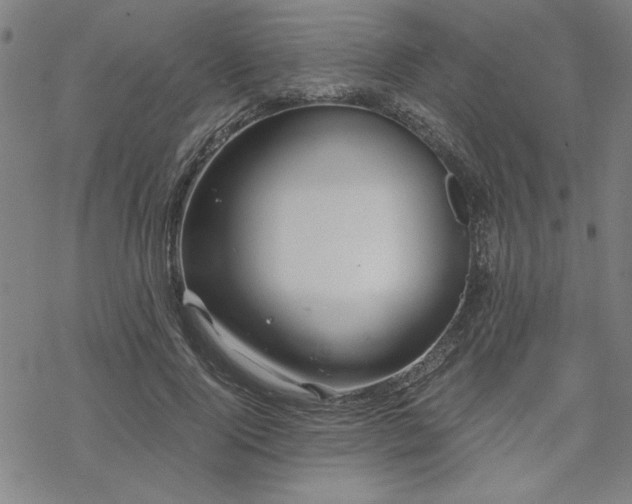 X0000068830740200605051236