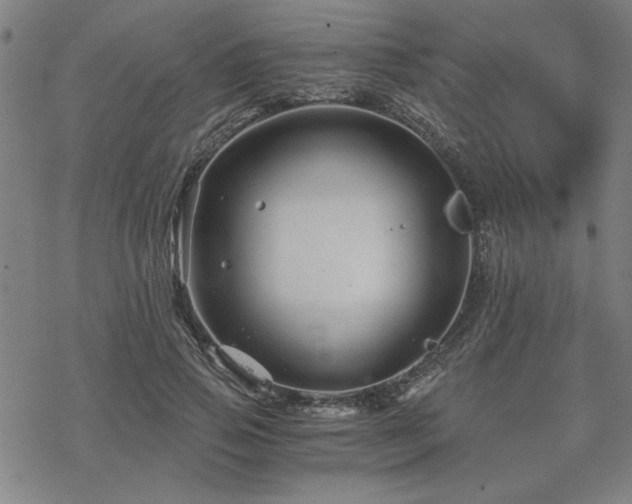 X0000068830741200605051236