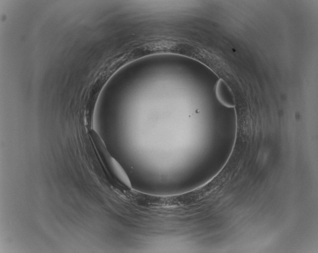 X0000068830743200605051236