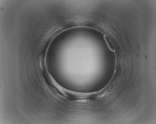 X0000068830744200605051236