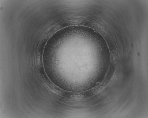 X0000068830745200605051236