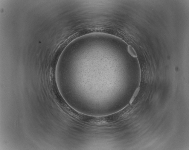 X0000068830747200605051236