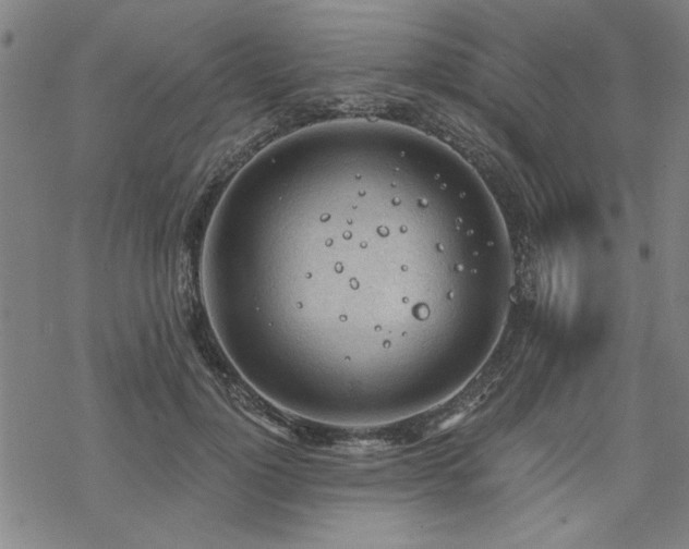 X0000068830748200605051236