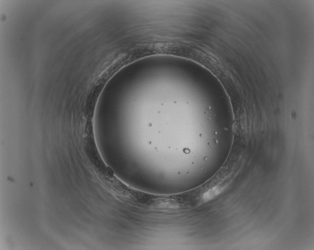 X0000068830750200605051236