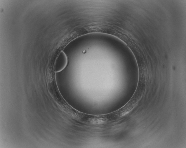 X0000068830751200605051236