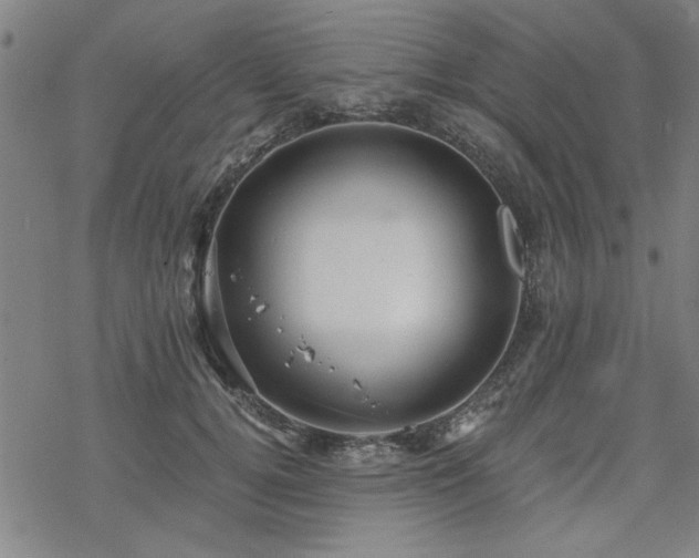 X0000068830752200605051236