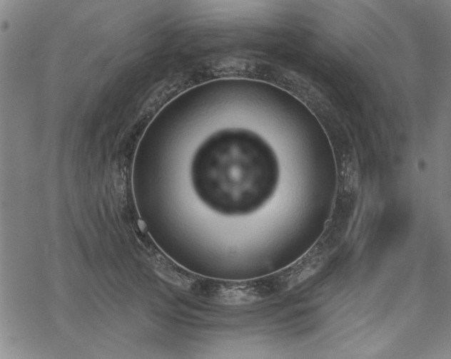 X0000068830753200605051236