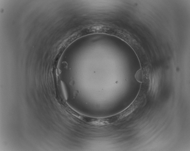 X0000068830754200605051236