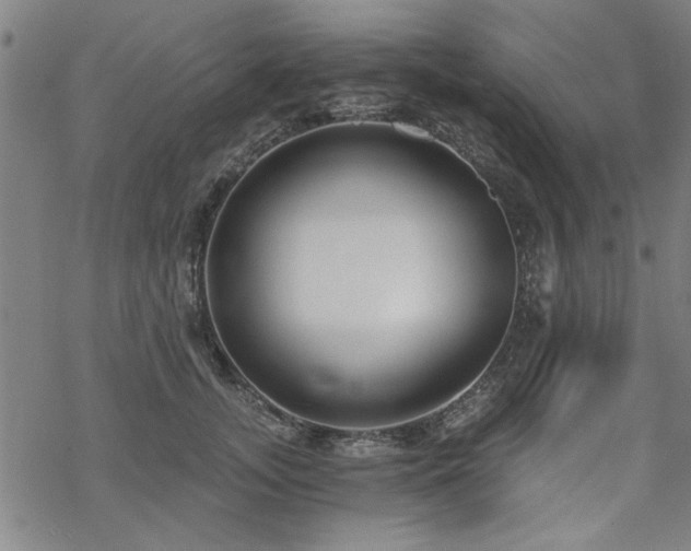 X0000068830755200605051236