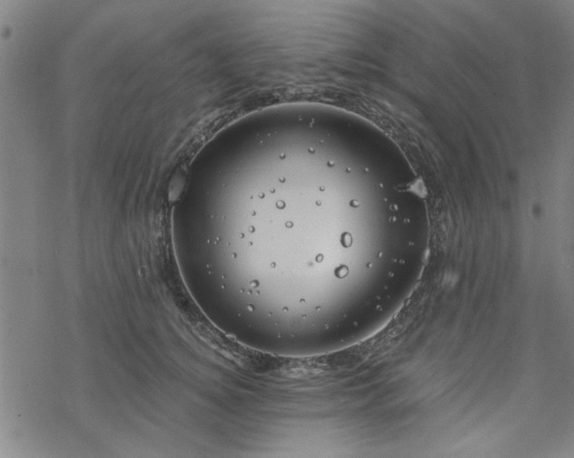 X0000068830756200605051236