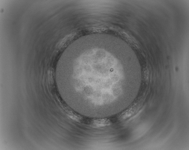 X0000068830757200605051236