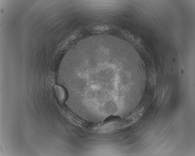 X0000068830758200605051236