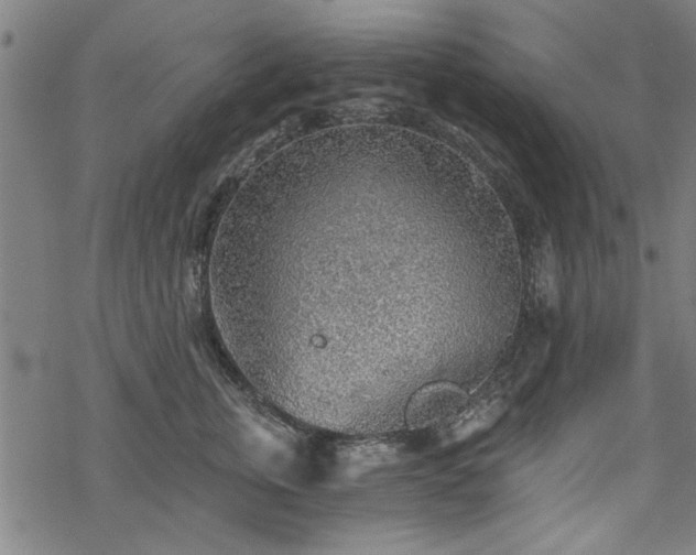 X0000068830759200605051236